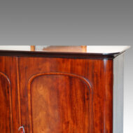 Victorian mahogany 2 door cupboard detail