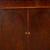 William IV 'plum pudding' mahogany chiffonier doors