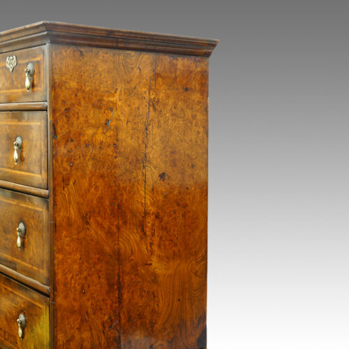 Burr elm side