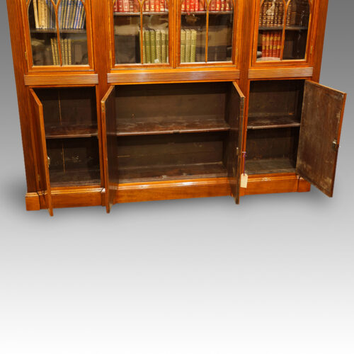 Victorian 4 door bookcase interior