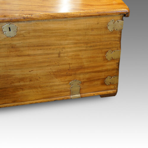 Antique camphorwood chest