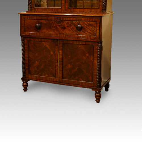 Antique library bookcase