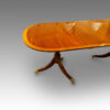 Mahogany triple pillar dining table in the Georgian style, side view