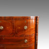 Regency inlaid mahogany D shape chest of drawers detail front