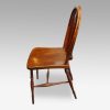 Set of 12 antique Thames Valley Windsor chairs side view