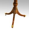 12 plus seat Regency style mahogany 3 pillar dining table end pedestal
