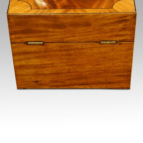 George III mahoangy inlaid casket rear