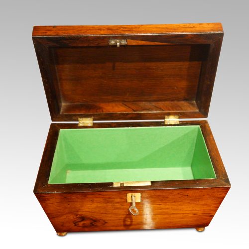 Regency rosewood caddy box interior