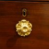 Regency mahogany press handle