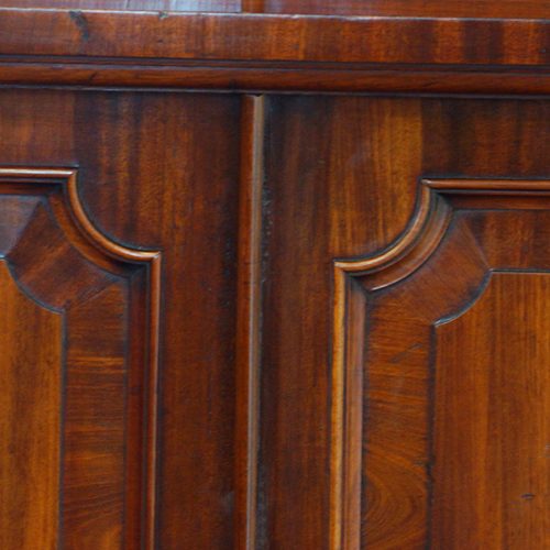 Fine Victorian mahogany bookcase door detail