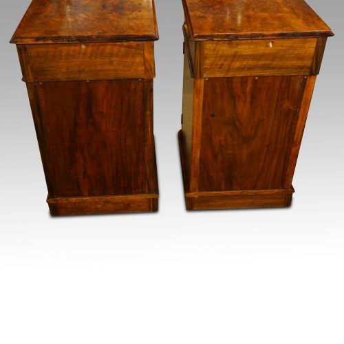 Pair of Victorian walnut bedside cabinets rear