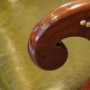 William IV mahogany bergere chair hand grip