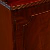 George V bowfronted mahogany bookcase door detail