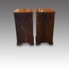 Pair of mahogany narrow chests backs