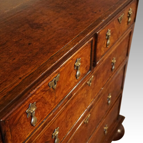 Queen Anne oak and burr elm chest of drawers at angle