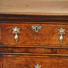 Queen Anne oak and burr elm chest of drawers drawer front