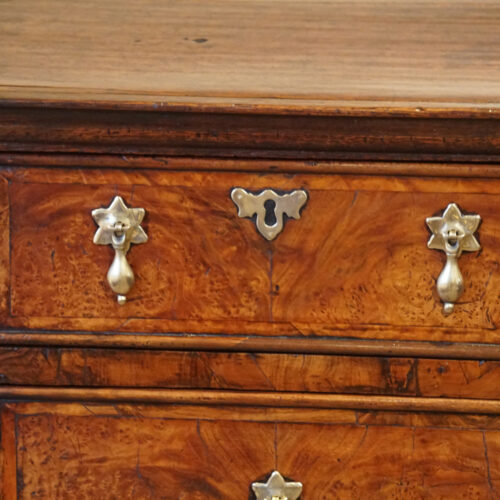 Queen Anne oak and burr elm chest of drawers drawer front