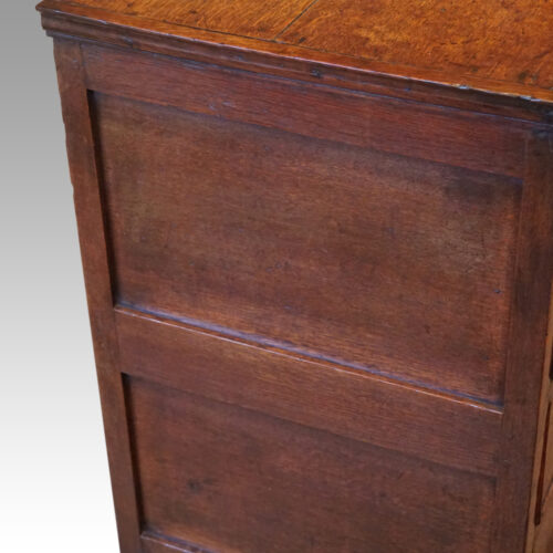 Queen Anne oak and burr elm chest of drawers end panel