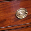 Regency mahogany tall bow chest handle detail