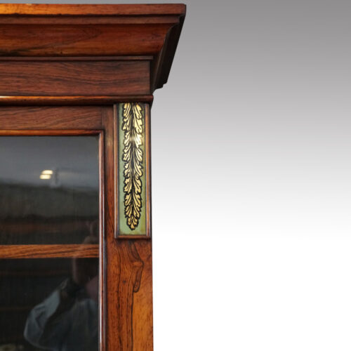 William IV rosewood library bookcase eglomise