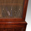 William IV mahogany library bookcase mesh
