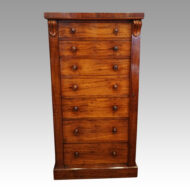 Victorian mahogany Wellington chest