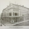 Hamptons Department store
