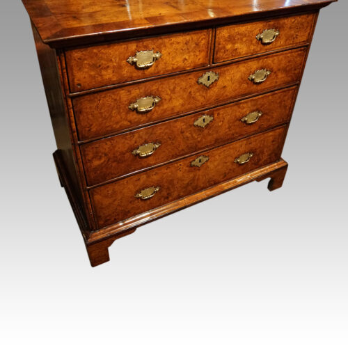 George I burr elm chest at angle