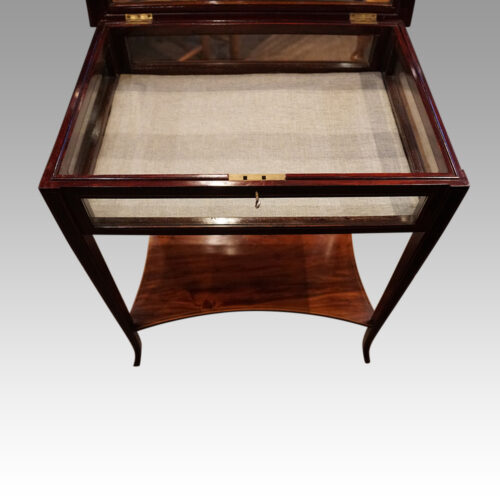 Edwardian mahogany curio cabinet interior