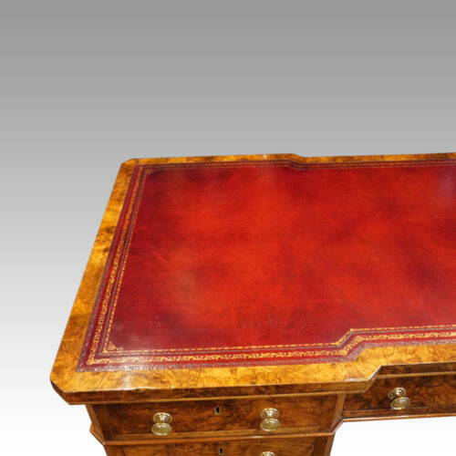 Victorian burr walnut pedestal desk 5