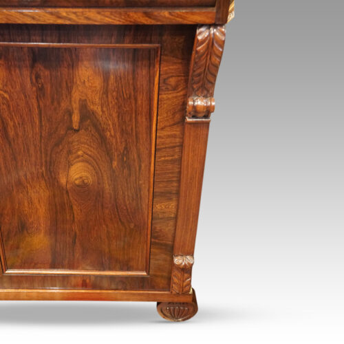 William IV rosewood chiffonier panel door