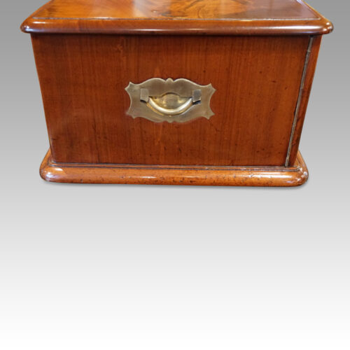 Edwardian mahogany collectors cabinet carrying handle