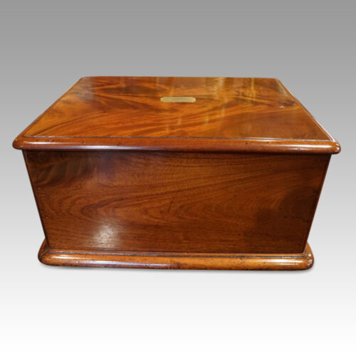 Edwardian mahogany collectors cabinet rear