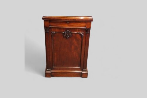 William IV mahogany collectors estate cabinet door panel