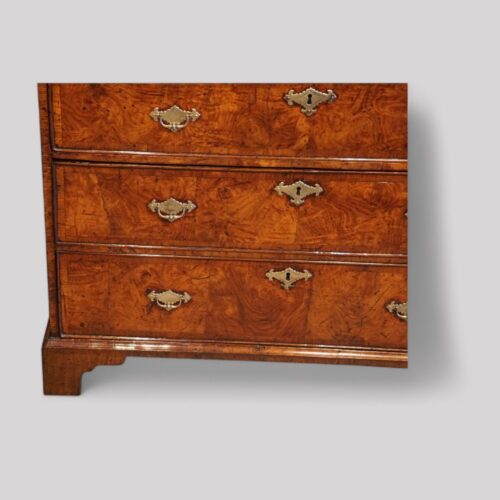 George II burr elm chest base corner