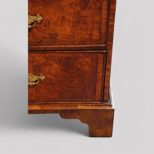 George II burr elm chest bracket foot
