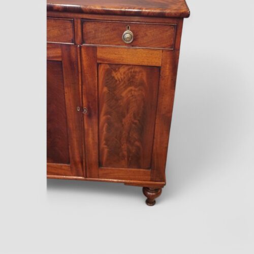Small Victorian mahogany cupboard panel door