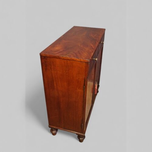 Georgian mahogany side cabinet side