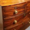 Regency mahogany bow front chest small size drawer front
