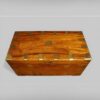 Victorian camphor wood campaign trunk top