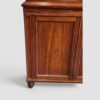 William IV rosewood bookcase cupboard door