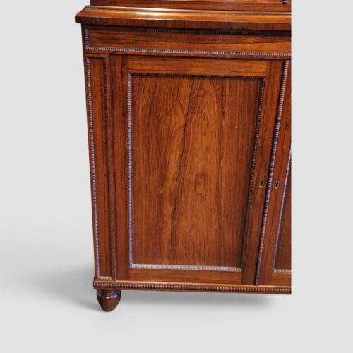 William IV rosewood bookcase cupboard door